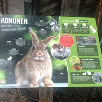 Winterstop voor koppelen binnenkonijnen