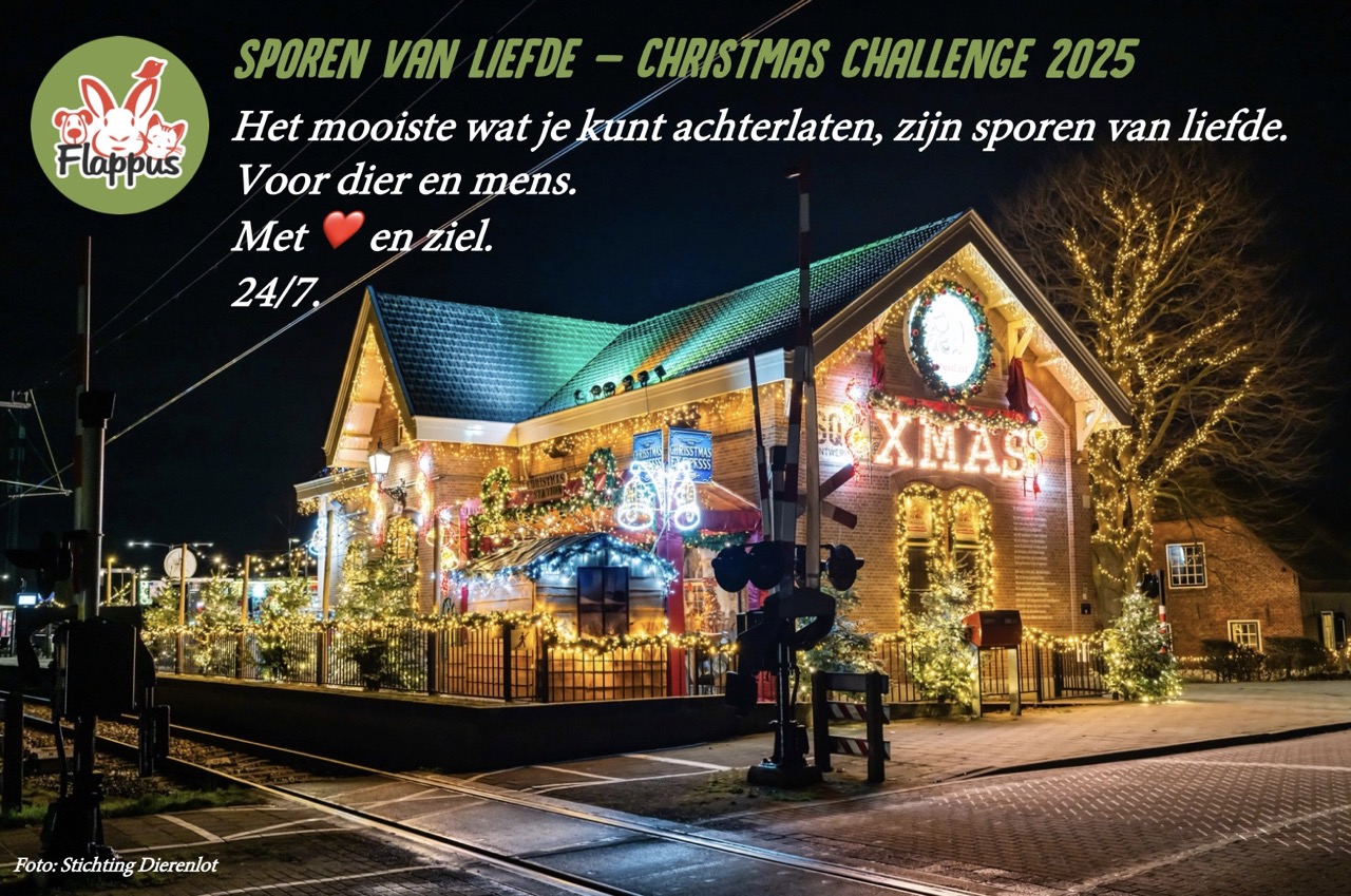 Sporen van Liefde Sporen van Liefde - Christmas Challenge Stichting Flappus. Foto: Arkel Christmas Station, Stichting Dierenlot